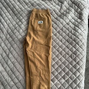 The North Face Brown Casual Jogger Pant